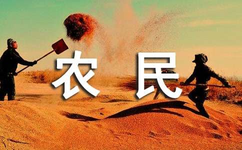 农民干什么最赚钱