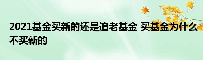 2021基金买新的还是追老基金 买基金为什么不买新的