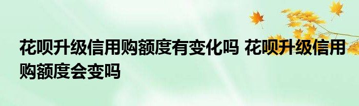 花呗升级信用购额度有变化吗 花呗升级信用购额度会变吗