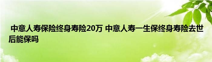 中意人寿保险终身寿险20万 中意人寿一生保终身寿险去世后能保吗