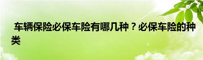 车辆保险必保车险有哪几种？必保车险的种类