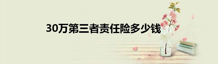 30万第三者责任险多少钱
