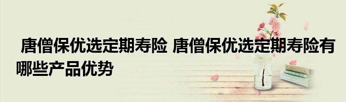 唐僧保优选定期寿险 唐僧保优选定期寿险有哪些产品优势