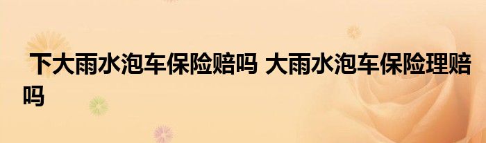 下大雨水泡车保险赔吗 大雨水泡车保险理赔吗