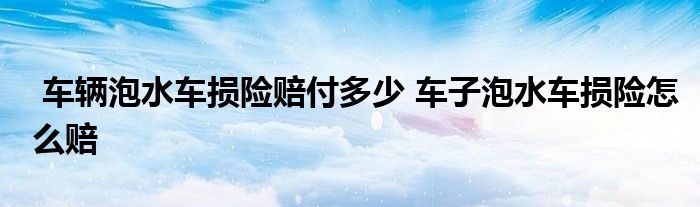 车辆泡水车损险赔付多少 车子泡水车损险怎么赔