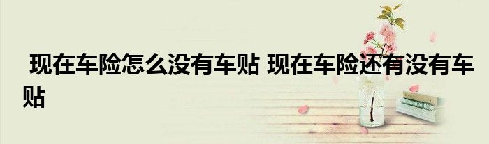 现在车险怎么没有车贴 现在车险还有没有车贴