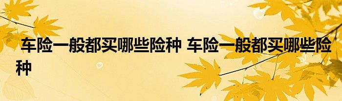 车险一般都买哪些险种 车险一般都买哪些险种