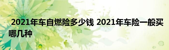 2021年车自燃险多少钱 2021年车险一般买哪几种