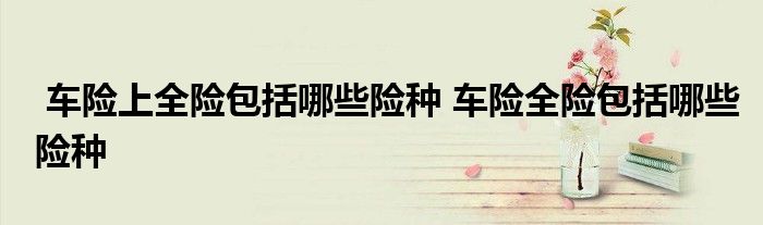 车险上全险包括哪些险种 车险全险包括哪些险种