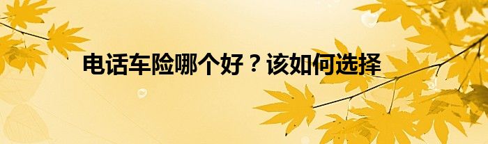 电话车险哪个好？该如何选择