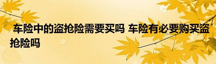 车险中的盗抢险需要买吗 车险有必要购买盗抢险吗