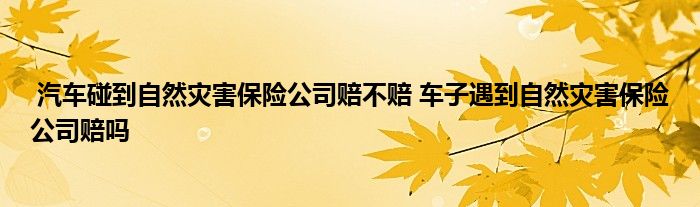 汽车碰到自然灾害保险公司赔不赔 车子遇到自然灾害保险公司赔吗