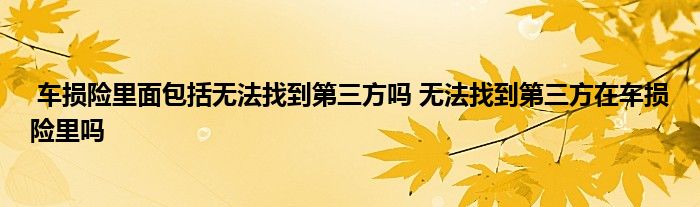车损险里面包括无法找到第三方吗 无法找到第三方在车损险里吗