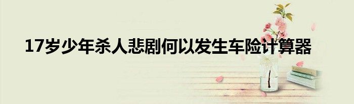 17岁少年杀人悲剧何以发生车险计算器