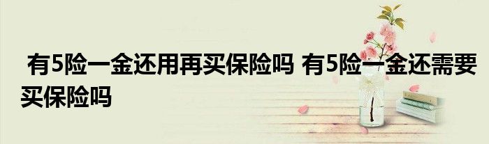 有5险一金还用再买保险吗 有5险一金还需要买保险吗