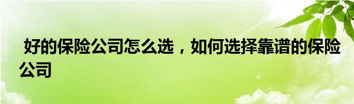 好的保险公司怎么选，如何选择靠谱的保险公司