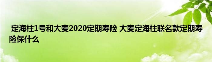 定海柱1号和大麦2020定期寿险 大麦定海柱联名款定期寿险保什么