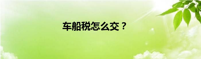车船税怎么交？