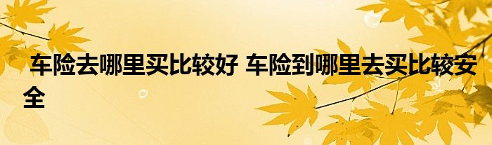 车险去哪里买比较好 车险到哪里去买比较安全