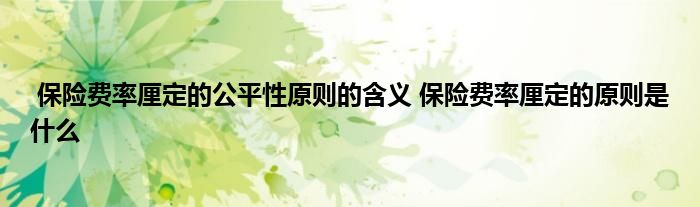 保险费率厘定的公平性原则的含义 保险费率厘定的原则是什么