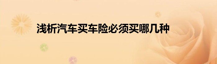 浅析汽车买车险必须买哪几种