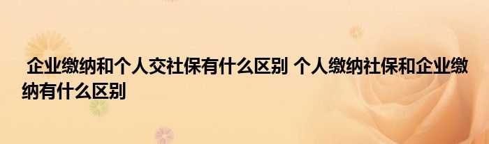 企业缴纳和个人交社保有什么区别 个人缴纳社保和企业缴纳有什么区别