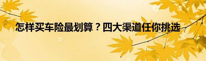 怎样买车险最划算？四大渠道任你挑选