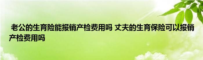 老公的生育险能报销产检费用吗 丈夫的生育保险可以报销产检费用吗