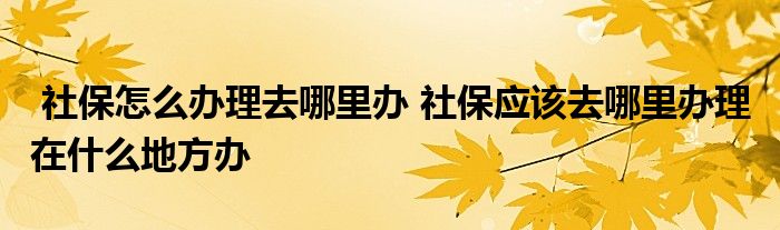 社保怎么办理去哪里办 社保应该去哪里办理 在什么地方办