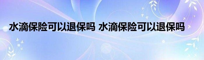 水滴保险可以退保吗 水滴保险可以退保吗