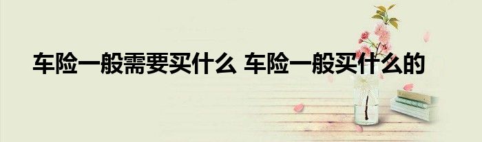 车险一般需要买什么 车险一般买什么的