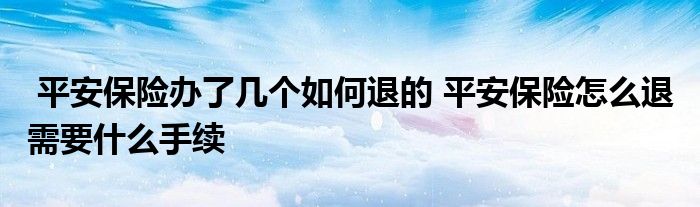 平安保险办了几个如何退的 平安保险怎么退 需要什么手续