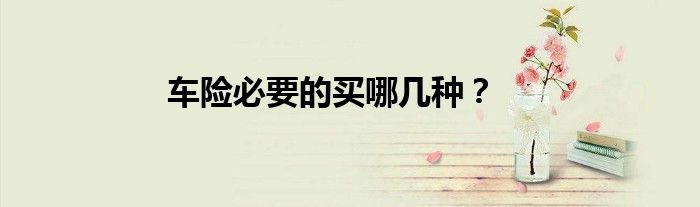 车险必要的买哪几种？