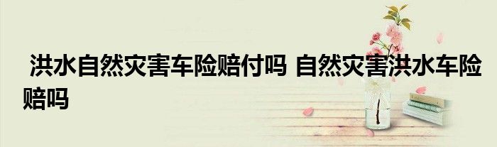 洪水自然灾害车险赔付吗 自然灾害洪水车险赔吗