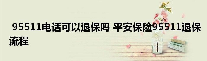 95511电话可以退保吗 平安保险95511退保流程