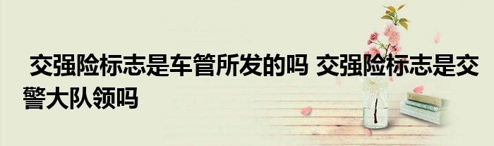 交强险标志是车管所发的吗 交强险标志是交警大队领吗