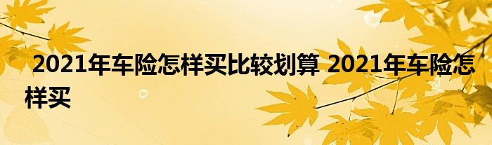 2021年车险怎样买比较划算 2021年车险怎样买