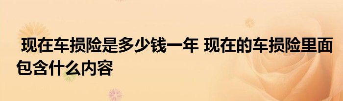 现在车损险是多少钱一年 现在的车损险里面包含什么内容