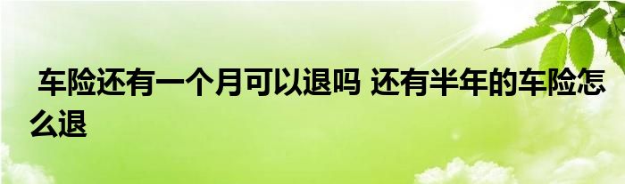 车险还有一个月可以退吗 还有半年的车险怎么退