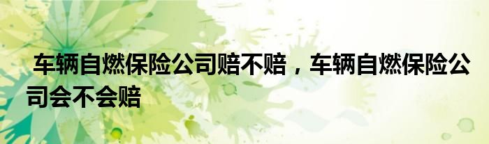 车辆自燃保险公司赔不赔，车辆自燃保险公司会不会赔