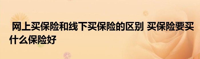 网上买保险和线下买保险的区别 买保险要买什么保险好