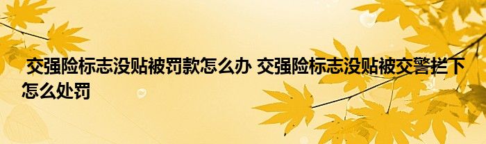 交强险标志没贴被罚款怎么办 交强险标志没贴被交警拦下怎么处罚
