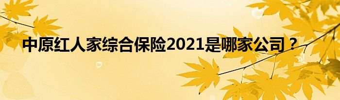 中原红人家综合保险2021是哪家公司？