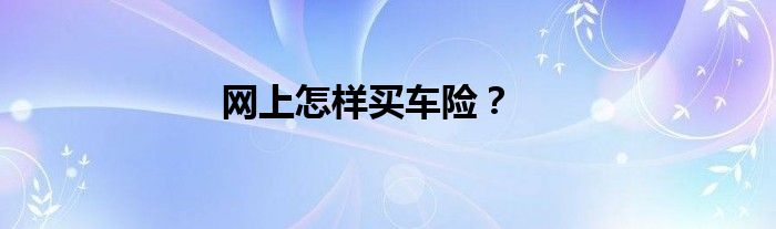 网上怎样买车险？
