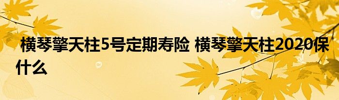 横琴擎天柱5号定期寿险 横琴擎天柱2020保什么