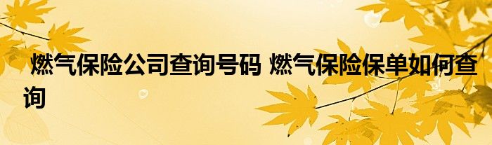 燃气保险公司查询号码 燃气保险保单如何查询
