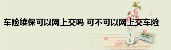 车险续保可以网上交吗 可不可以网上交车险