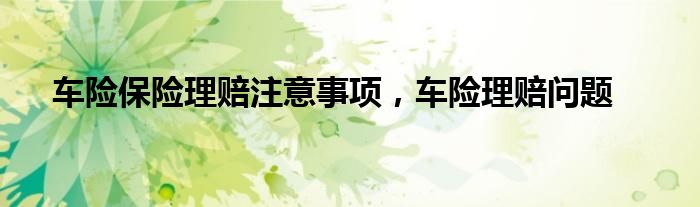 车险保险理赔注意事项，车险理赔问题