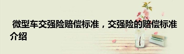 微型车交强险赔偿标准,交强险的赔偿标准介绍