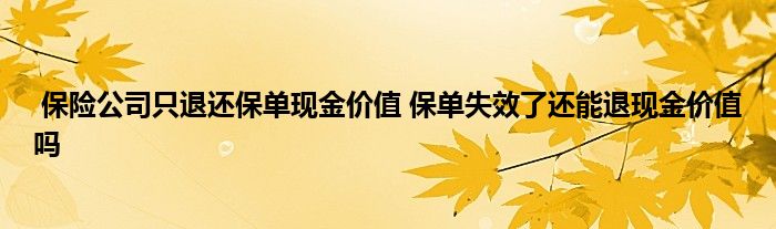 保险公司只退还保单现金价值 保单失效了还能退现金价值吗